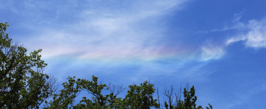 Photo: Circumhorizontal Arc.