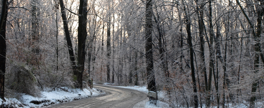 Photo: Ice Storm.